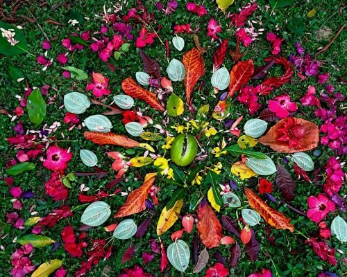 woman circle